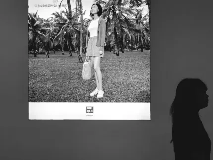 Barbados Casino App Mobile